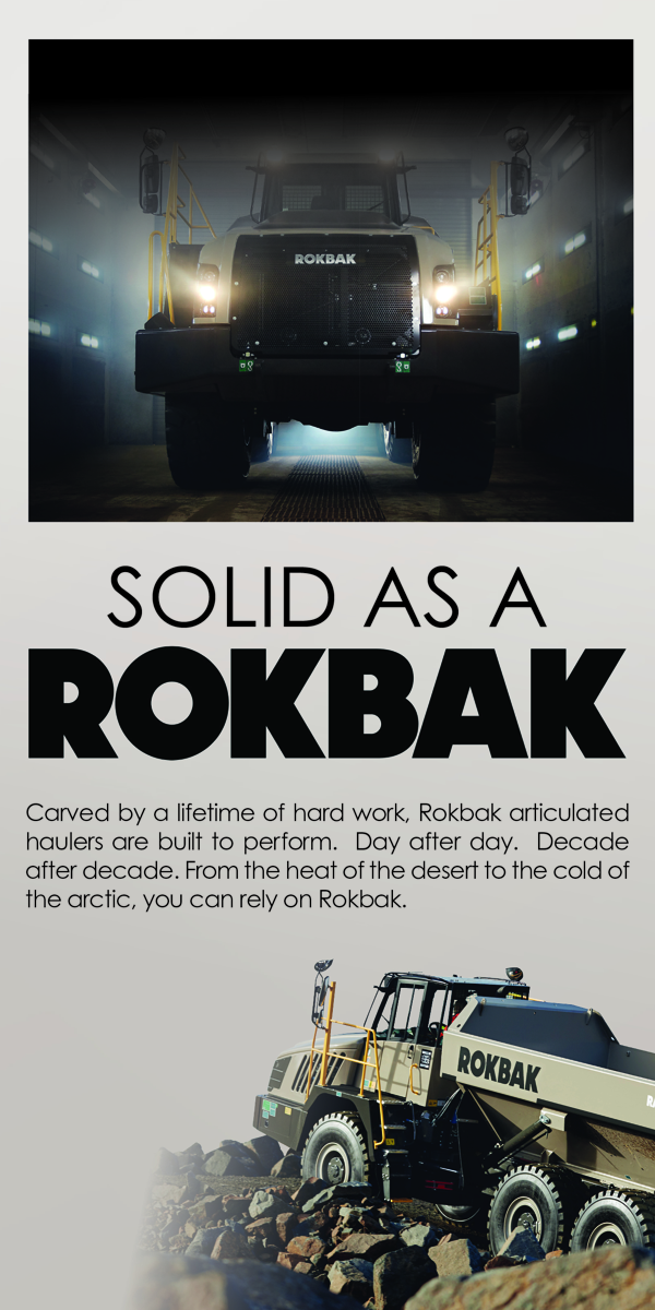 display.0.ad_image_id