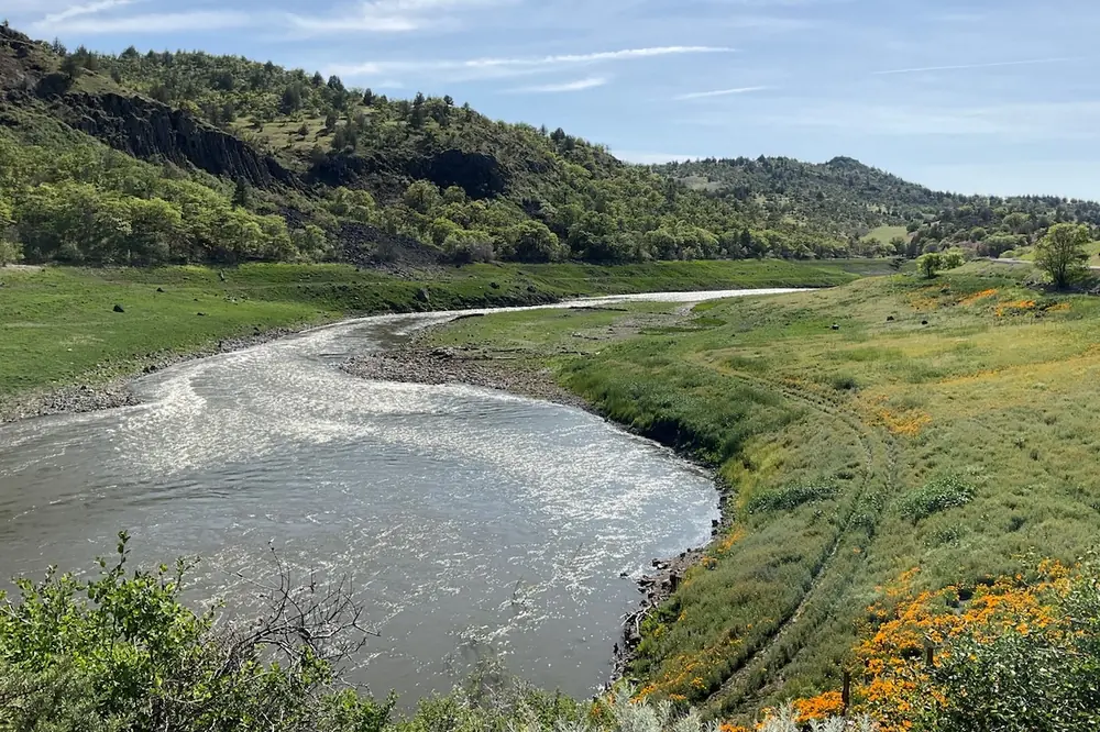 Site of the former Iron Gate Dam in April 2025 (Photo courtesy of RES)