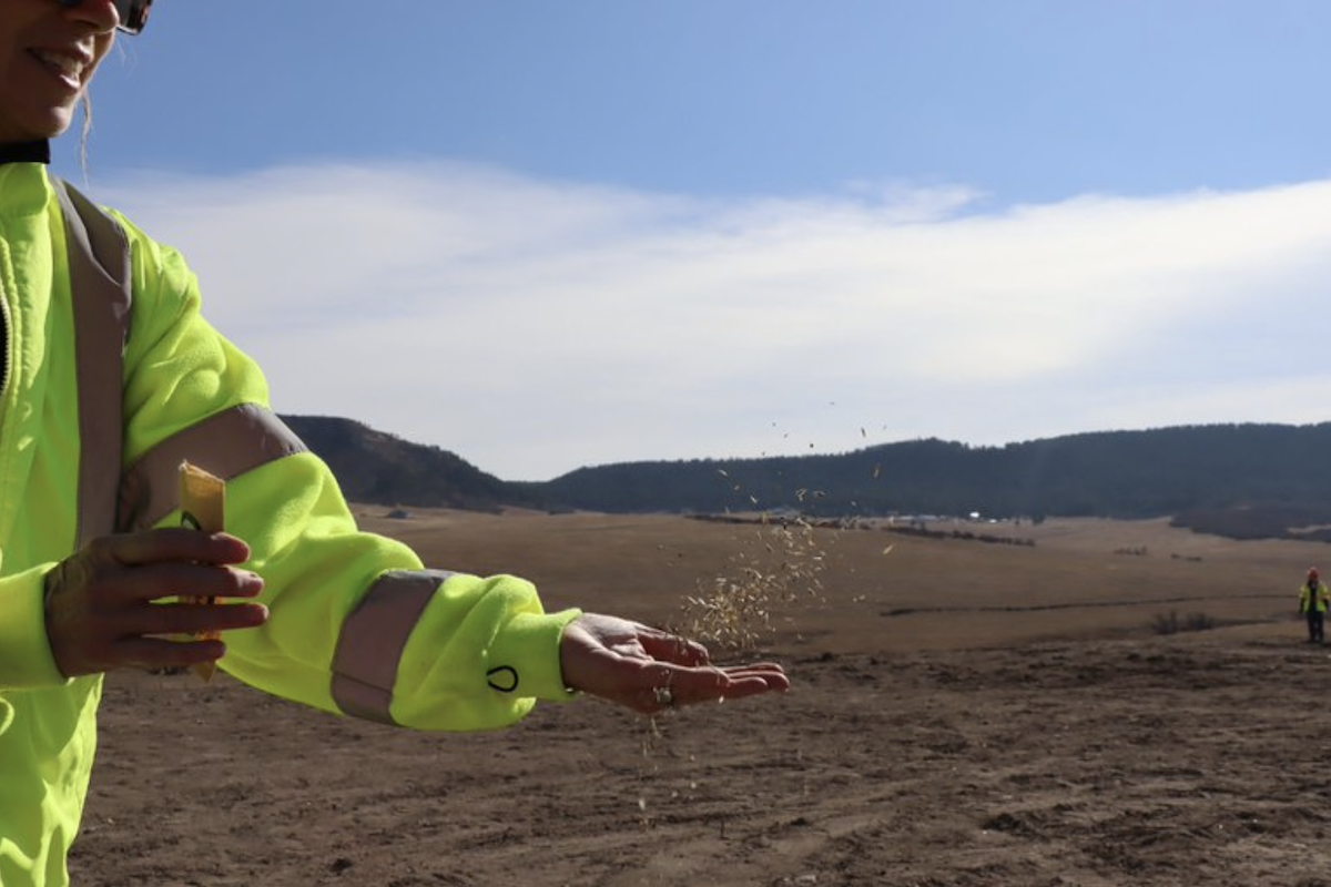 A worker scatters seeds on the dirt-covered wildlife crossing.