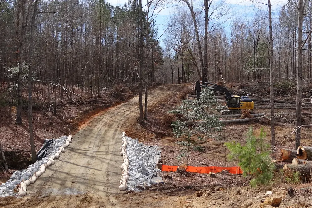 Photo courtesy of S.T. Wooten